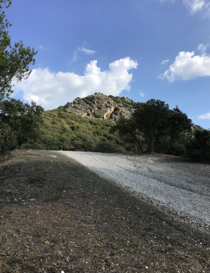 מלון הייר Roulotte Fenouillet מראה חיצוני תמונה